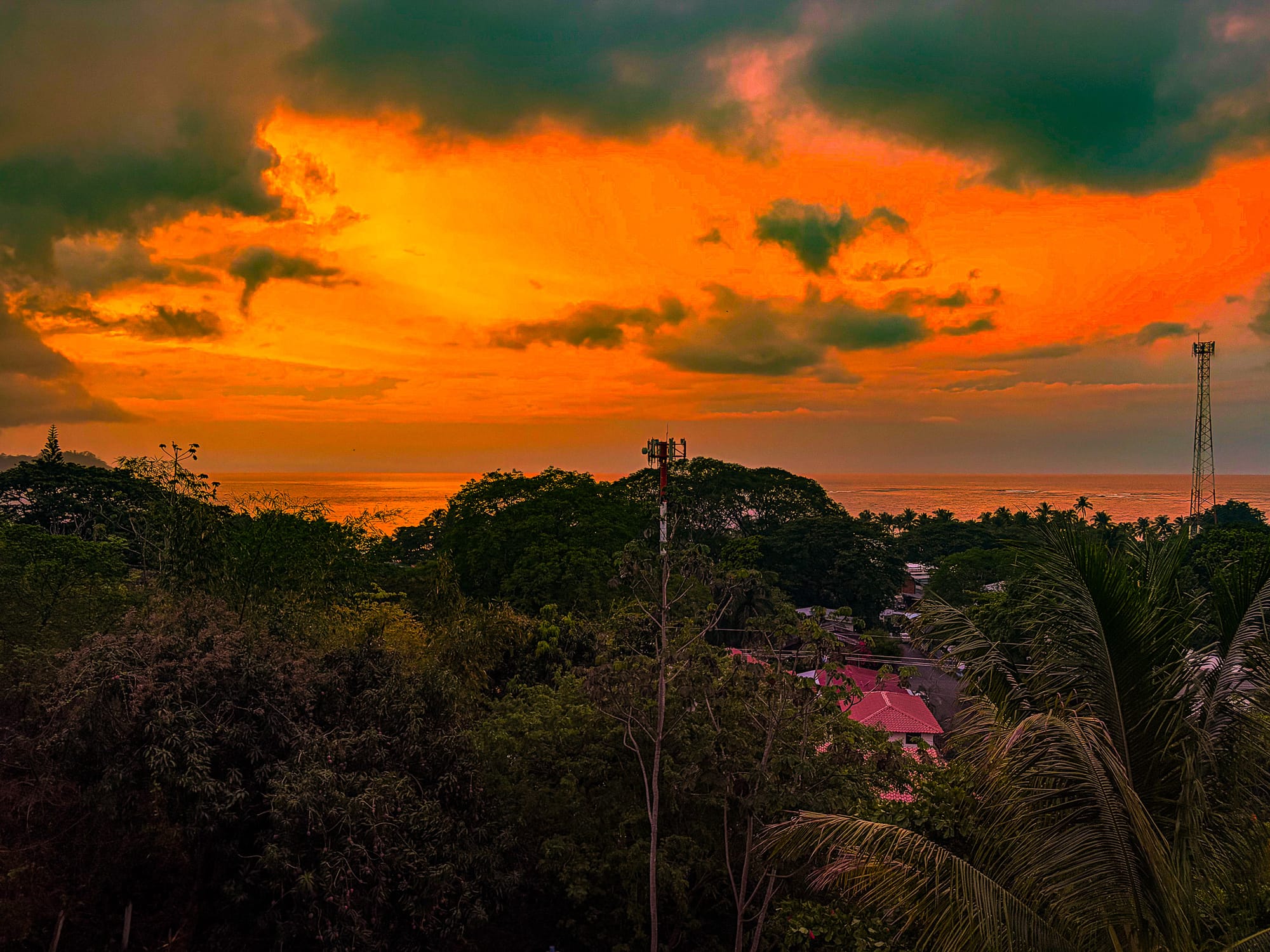 🪖 Costa Rica Reality Check — When the Jungle Goes Quiet